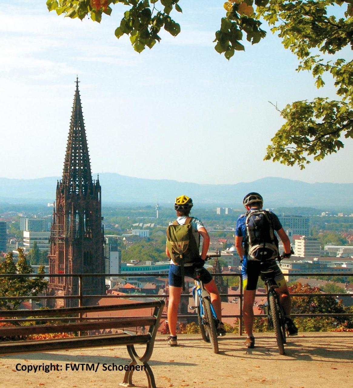 Invite Hotel Loewen Freiburg Екстер'єр фото